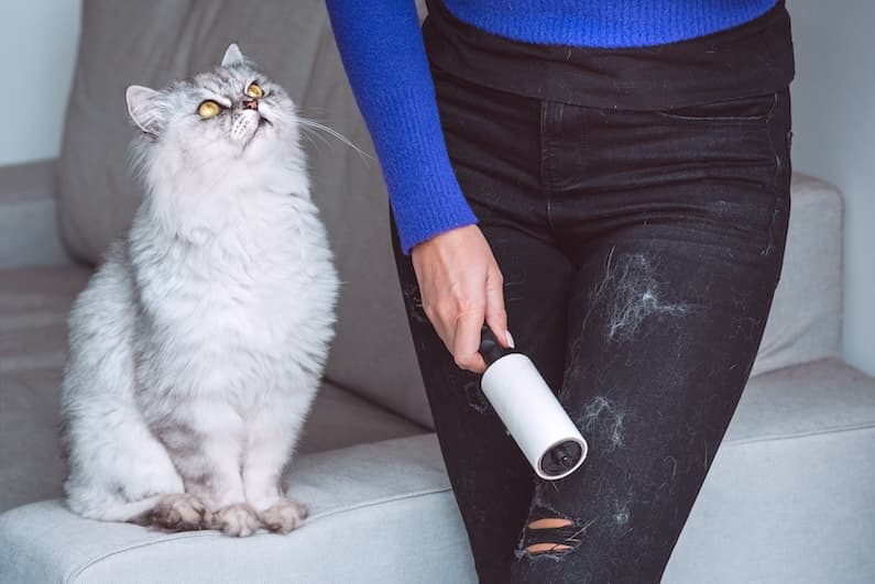 How to Tackle Specific Laundry Challenges Such as Pet Hair, Lint, and Stains